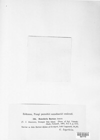 Ramularia bartsiae image